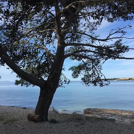 Ana's Apartment Petrčane