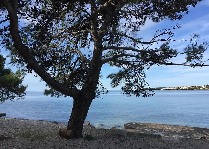 Ana's Апартаменты Петрчане